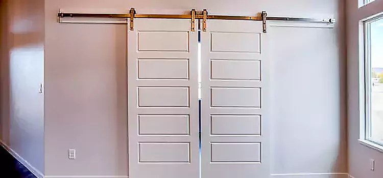 Glass Barn Door with Installation Hardware Kit Burbank
