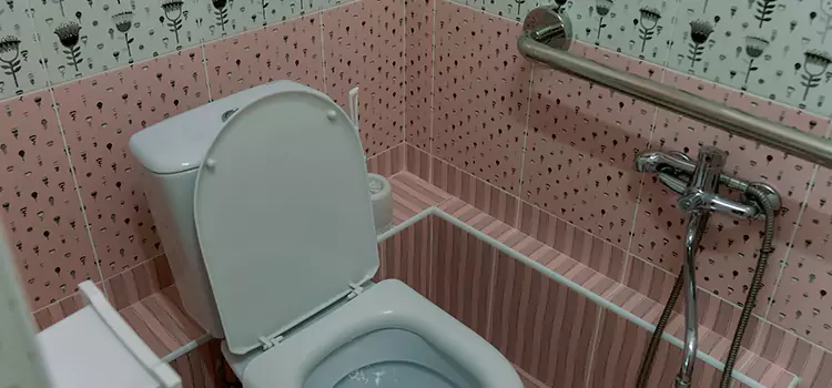Meeting Diverse Needs With Accessible Restroom Solutions in Burbank, CA