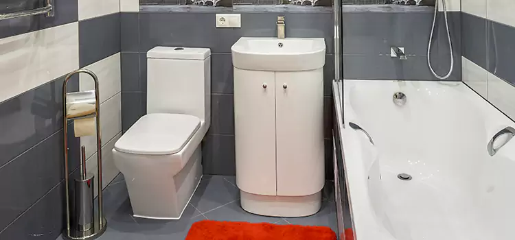 Hansgrohe Shaving Mirror Burbank